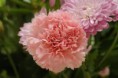 /album/fotogaleria/images-3-jpg/